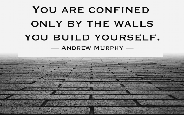 images/quotes/you-are-confined-only-by-the-walls.png